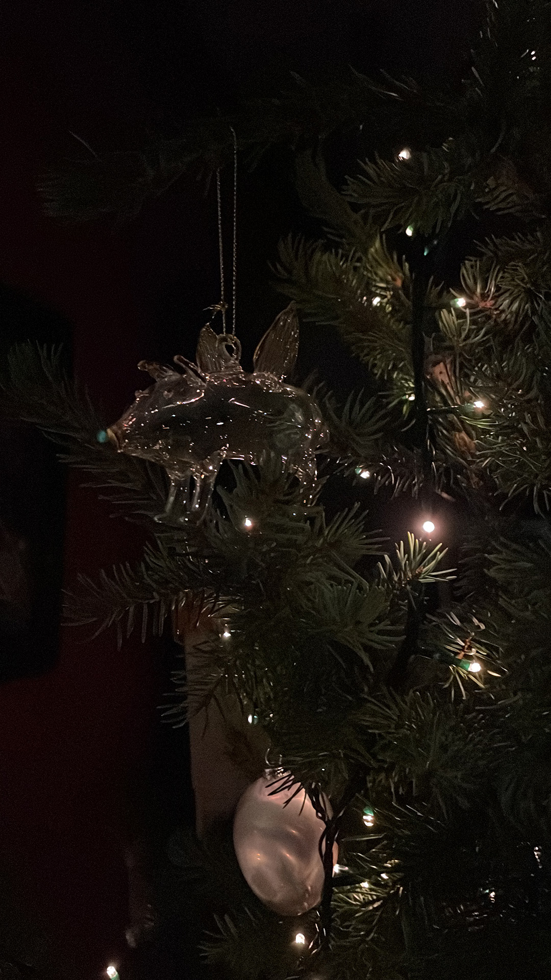 Wij wensen jullie een Zalig Kerstfeest, een Vredevol en Gelukkig Nieuwjaar