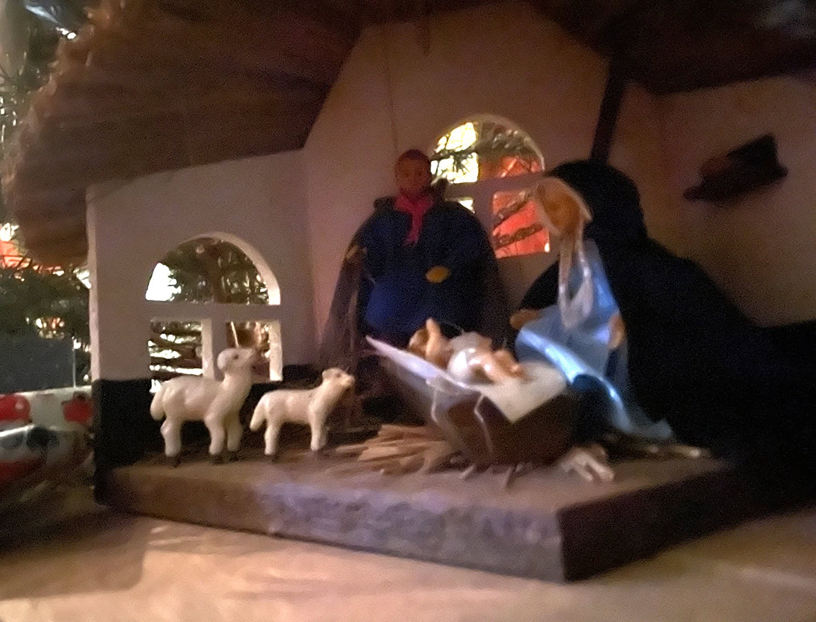 Wij wensen jullie een Zalig Kerstfeest, een Vredevol en Gelukkig Nieuwjaar. © Anita Fleerackers